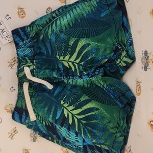 Tropical Print Pull on Jogger Shorts